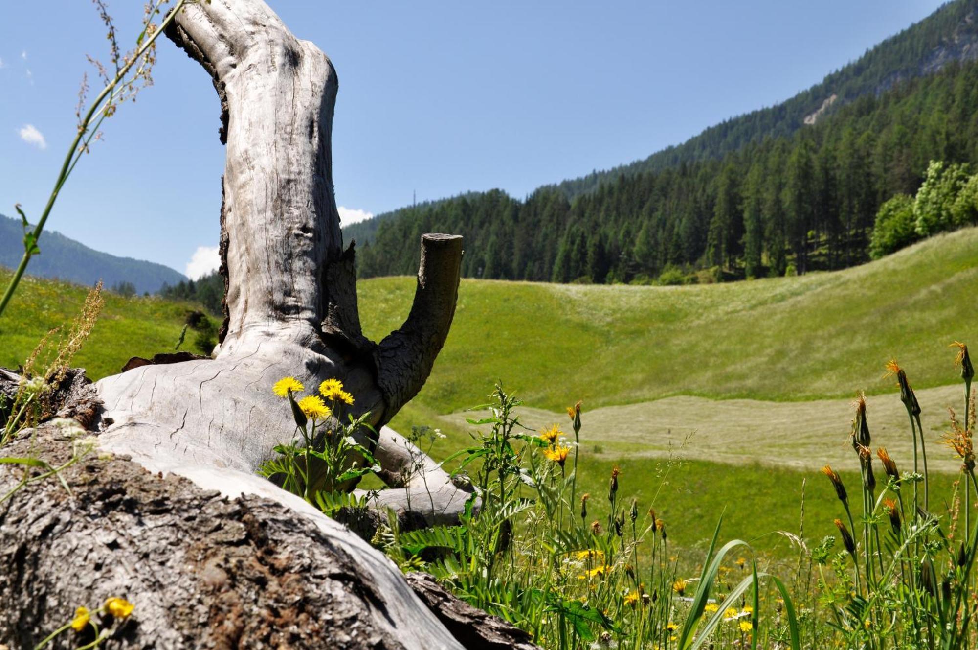 Guesthouse Rungg Badia (South Tyrol) Exterior photo